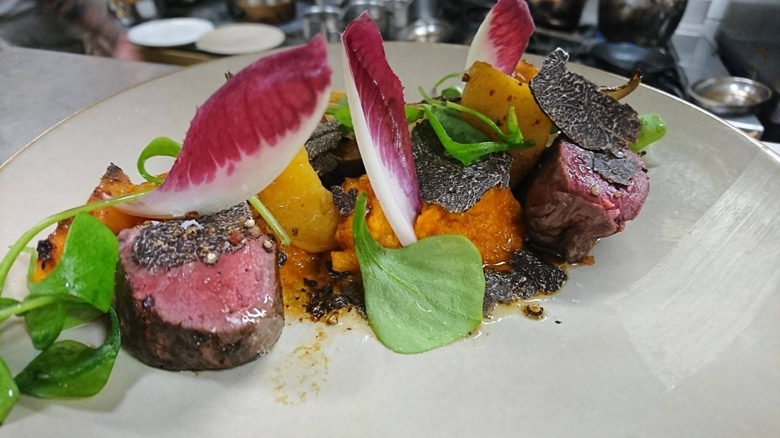 la robe et le palais